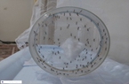 Field Monitoring and Sampling of the Native Dengue Vector were Conducted by Pasteur Institute of Iran’s Researchers