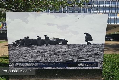 As a leading experience in combating diseases worldwide, an image of the plague surveillance teams of the Pasteur Institute of Iran in 1962 has been installed in front of the WHO headquarters in Geneva